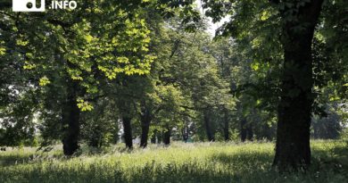 Chcieli budować ścieżkę edukacyjną na …czynnym cmentarzu. Chcieli budować ścieżkę edukacyjną na …czynnym cmentarzu.