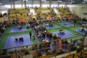 zdjęcie z wystawy w 2011 r.