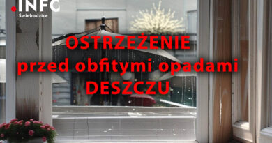 Szczegółowa prognoza pogody dla Świebodzic Szczegółowa prognoza pogody dla Świebodzic
